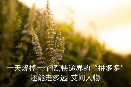 一天燒掉一個(gè)億,快遞界的“拼多多”還能走多遠(yuǎn)| 艾問(wèn)人物