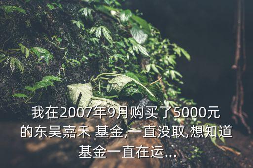 我在2007年9月購買了5000元的東吳嘉禾 基金,一直沒取,想知道 基金一直在運...