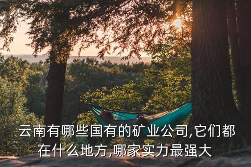  云南有哪些國有的礦業(yè)公司,它們都在什么地方,哪家實力最強大