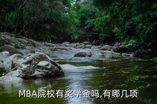 MBA院校有獎學金嗎,有哪幾項