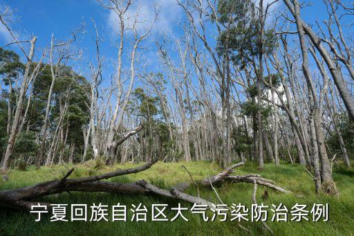  寧夏回族自治區(qū)大氣污染防治條例