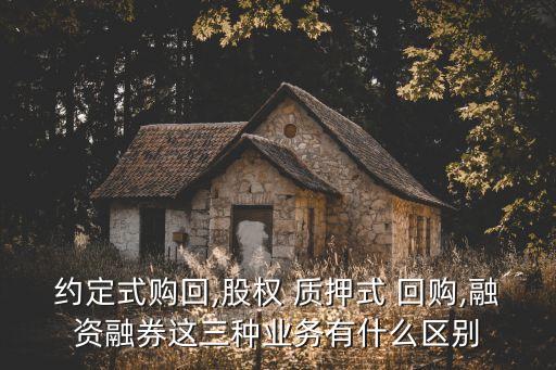 股票質押式回購交易及登記