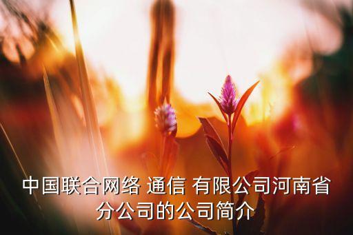 中國(guó)聯(lián)合網(wǎng)絡(luò) 通信 有限公司河南省分公司的公司簡(jiǎn)介