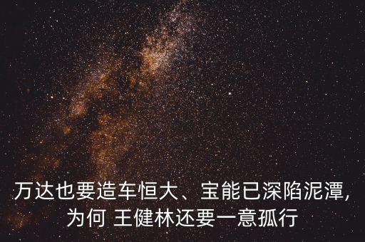 王健林投資的公司,萬王健林出最近投資