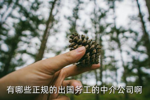 有哪些正規(guī)的出國務(wù)工的中介公司啊