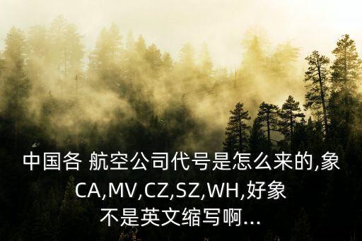 中國(guó)各 航空公司代號(hào)是怎么來(lái)的,象CA,MV,CZ,SZ,WH,好象不是英文縮寫啊...