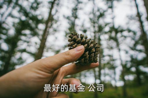 易方達(dá)證券公司分級(jí),證券公司分級(jí)排名