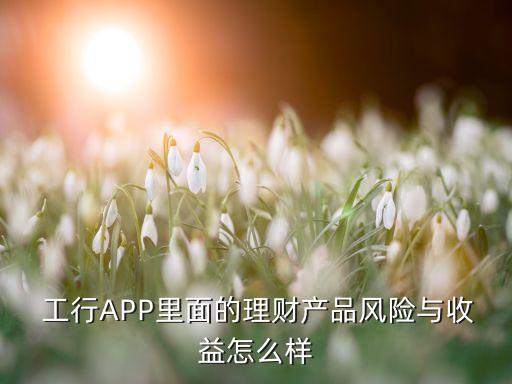  工行APP里面的理財產(chǎn)品風險與收益怎么樣