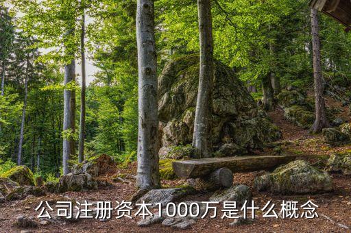  公司注冊(cè)資本1000萬是什么概念