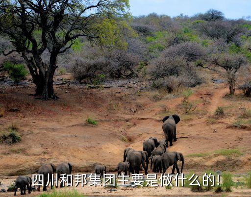 四川和邦集團(tuán)主要是做什么的!