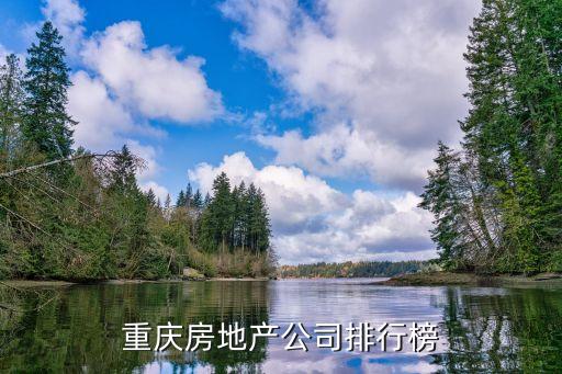 重慶房地產(chǎn)公司排行榜