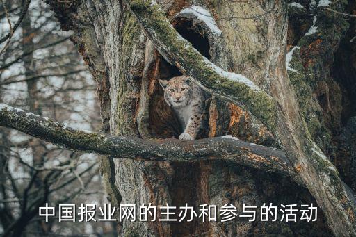 中國廣告主峰會暨第六屆金遠(yuǎn)獎?lì)C獎盛典