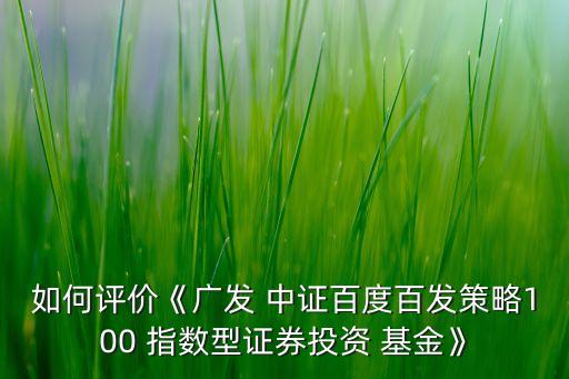 中證100指數(shù)基金