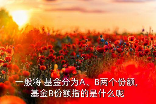 一般將 基金分為A、B兩個(gè)份額, 基金B(yǎng)份額指的是什么呢