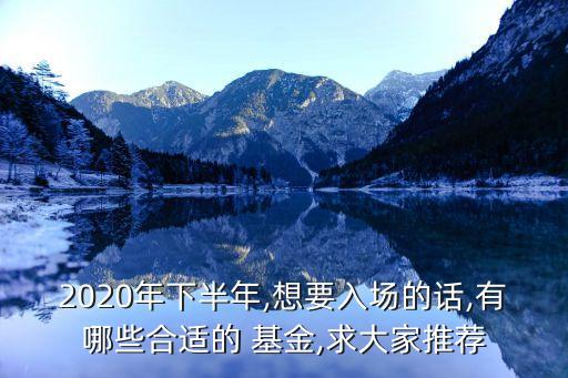 2020年下半年,想要入場的話,有哪些合適的 基金,求大家推薦