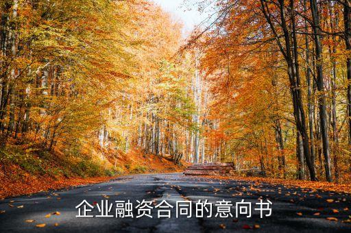 企業(yè)融資合同的意向書