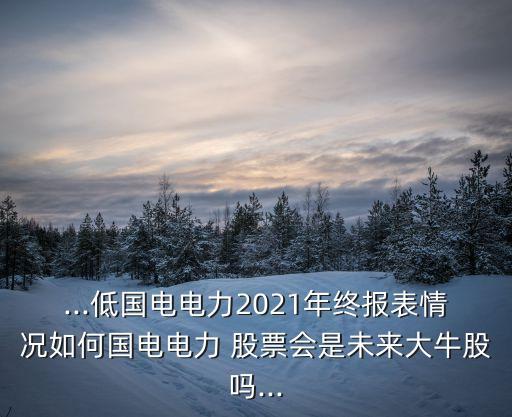 ...低國電電力2021年終報表情況如何國電電力 股票會是未來大牛股嗎...