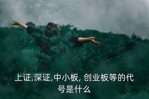 上證,深證,中小板, 創(chuàng)業(yè)板等的代號是什么