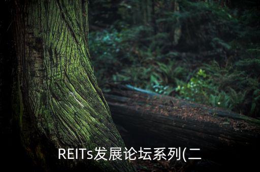 REITs發(fā)展論壇系列(二