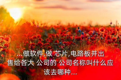 ...做軟件,做 芯片,電路板并出售給各大 公司的 公司名稱(chēng)叫什么應(yīng)該去哪種...