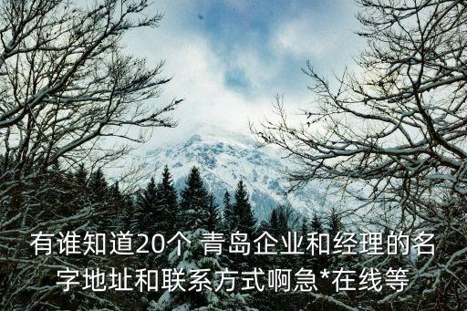 有誰知道20個(gè) 青島企業(yè)和經(jīng)理的名字地址和聯(lián)系方式啊急*在線等