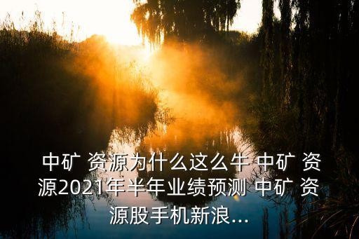  中礦 資源為什么這么牛 中礦 資源2021年半年業(yè)績預測 中礦 資源股手機新浪...