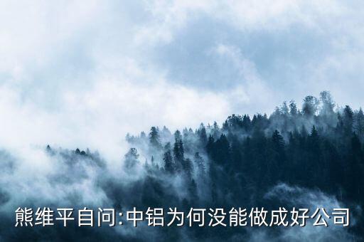 熊維平自問:中鋁為何沒能做成好公司