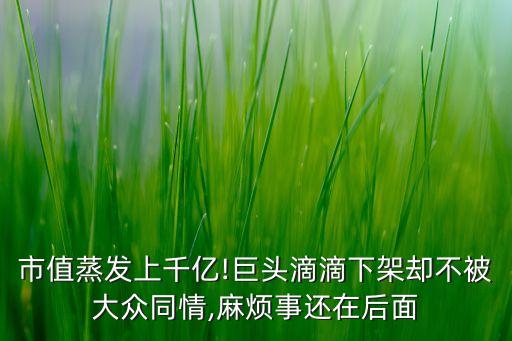 市值蒸發(fā)上千億!巨頭滴滴下架卻不被大眾同情,麻煩事還在后面