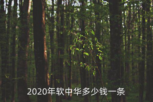 2020年軟中華多少錢一條