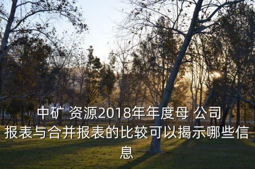 中礦資源公司詳情