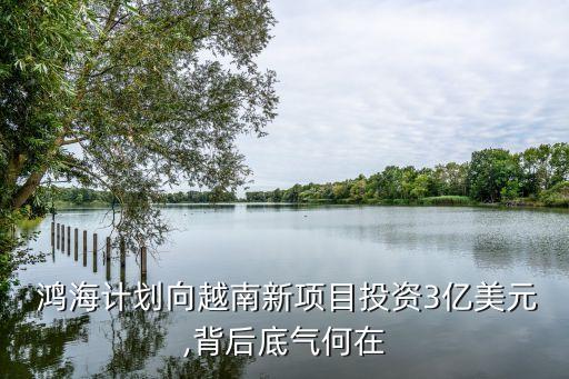  鴻海計(jì)劃向越南新項(xiàng)目投資3億美元,背后底氣何在