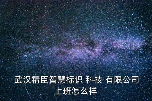  武漢精臣智慧標(biāo)識(shí) 科技 有限公司上班怎么樣