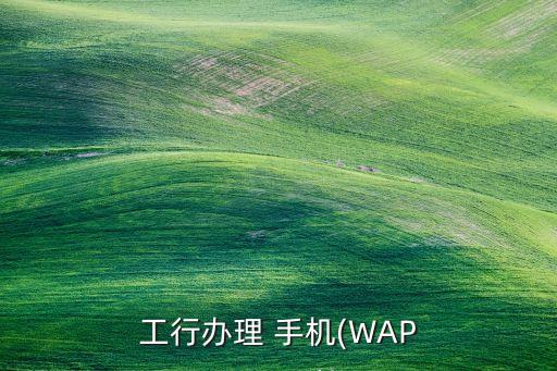 工行辦理 手機(jī)(WAP