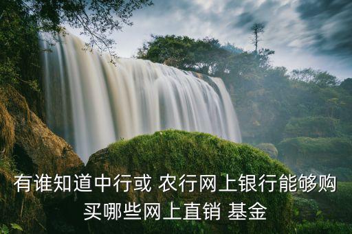 有誰(shuí)知道中行或 農(nóng)行網(wǎng)上銀行能夠購(gòu)買(mǎi)哪些網(wǎng)上直銷(xiāo) 基金