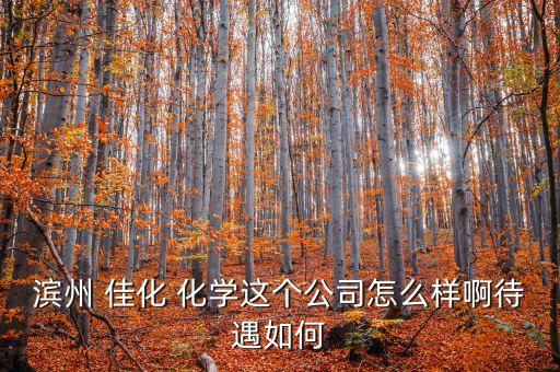 濱州 佳化 化學(xué)這個公司怎么樣啊待遇如何