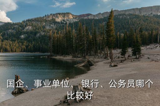 國(guó)企、事業(yè)單位、 銀行、公務(wù)員哪個(gè)比較好