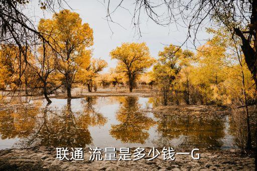 聯(lián)通 流量是多少錢(qián)一G