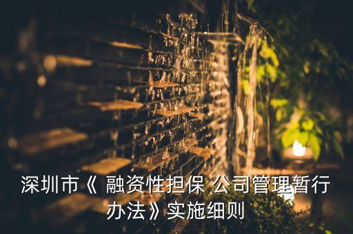 深圳市《 融資性擔(dān)保 公司管理暫行辦法》實施細(xì)則