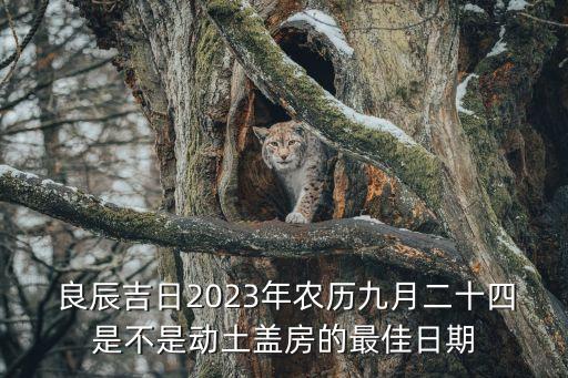  良辰吉日2023年農(nóng)歷九月二十四是不是動土蓋房的最佳日期