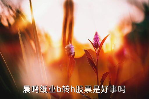 晨鳴紙業(yè)b轉h股票是好事嗎