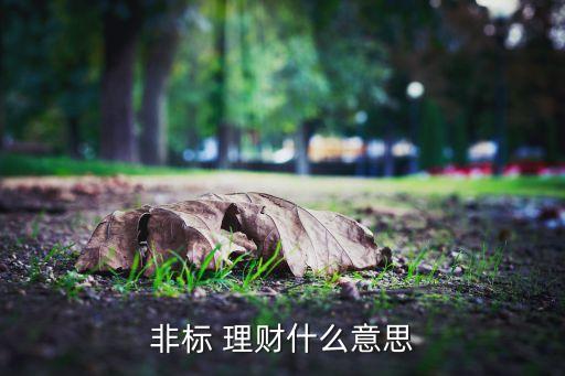 非標(biāo) 理財(cái)什么意思