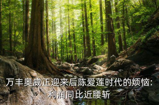 萬豐奧威正迎來后陳愛蓮時代的煩惱:利潤同比近腰斬