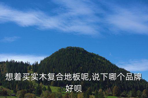 想著買(mǎi)實(shí)木復(fù)合地板呢,說(shuō)下哪個(gè)品牌好唄