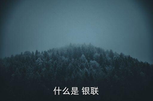 中國銀聯(lián)上市公司