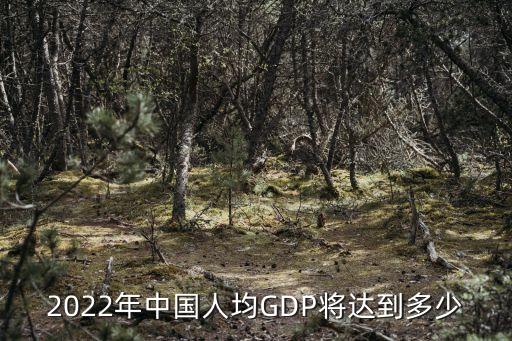 中國(guó)政府吹噓gdp