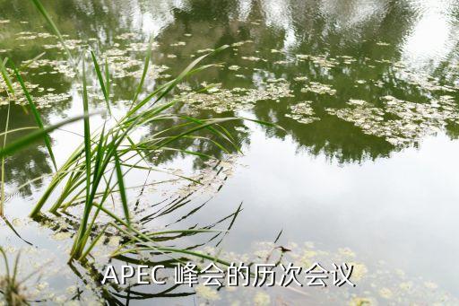 APEC 峰會(huì)的歷次會(huì)議