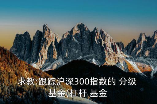 求教:跟蹤滬深300指數(shù)的 分級 基金(杠桿 基金