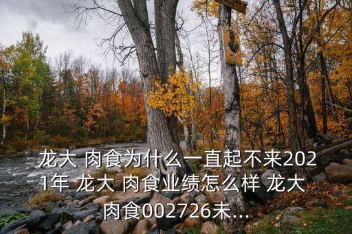  龍大 肉食為什么一直起不來2021年 龍大 肉食業(yè)績(jī)?cè)趺礃?龍大 肉食002726未...