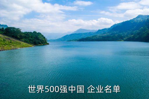 世界500強(qiáng)中國 企業(yè)名單