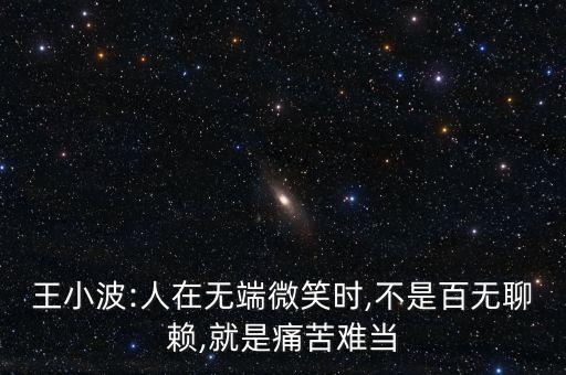 王小波:人在無端微笑時,不是百無聊賴,就是痛苦難當(dāng)